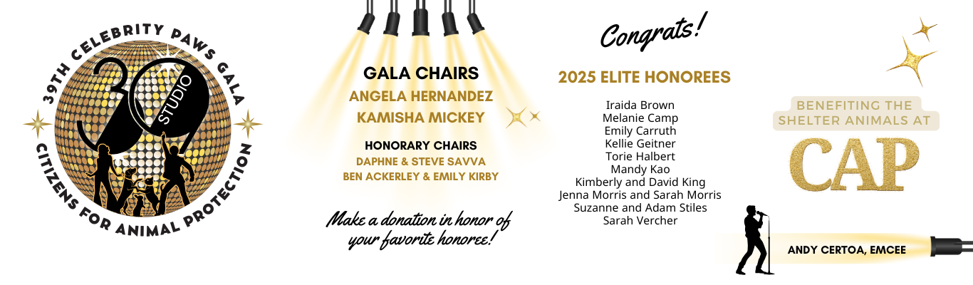 2025 gala donation page top
