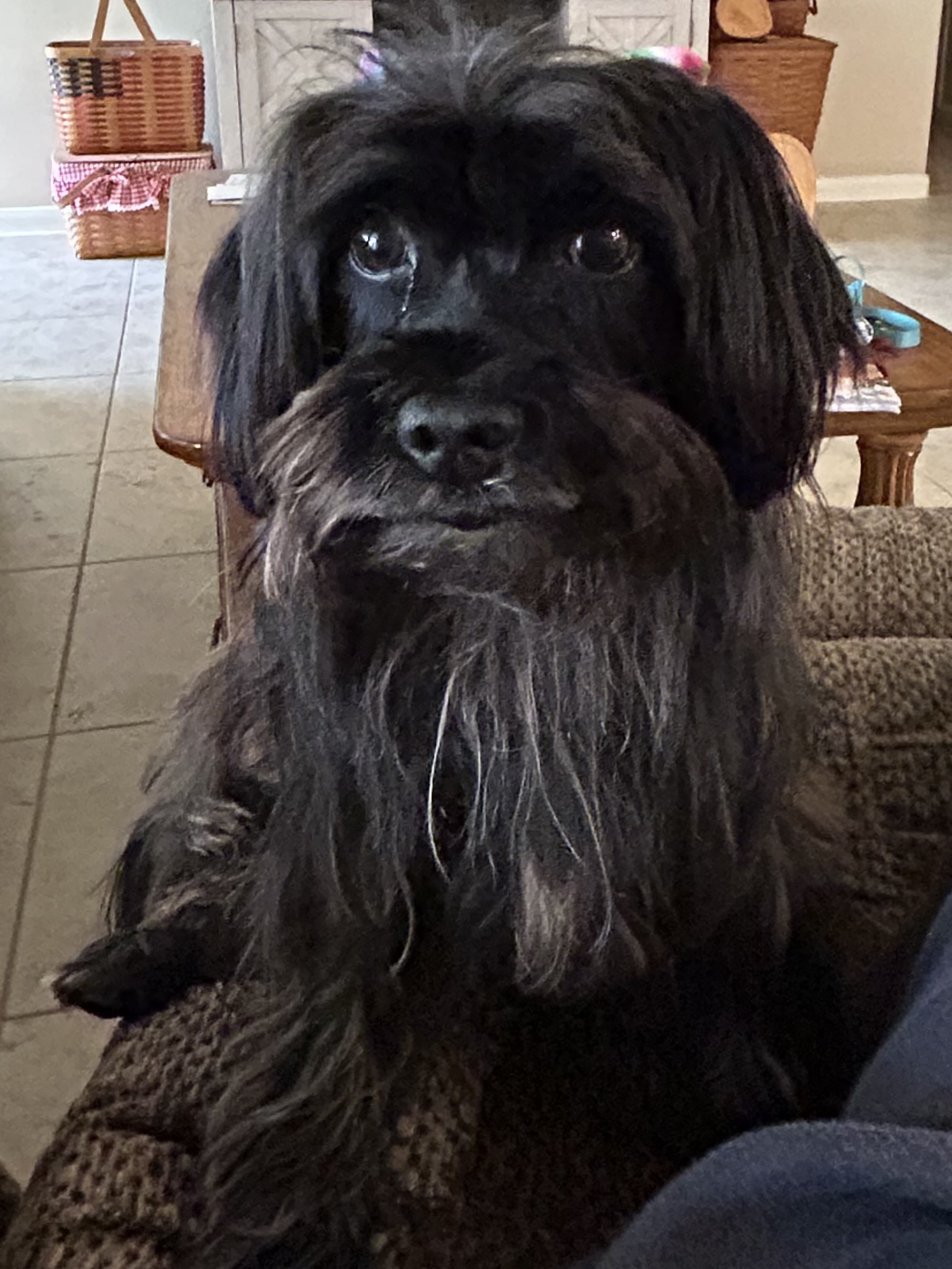 693316baf3954 IMG 1445