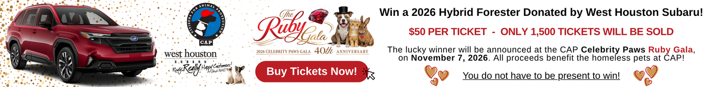2026 Gala Subaru Raffle