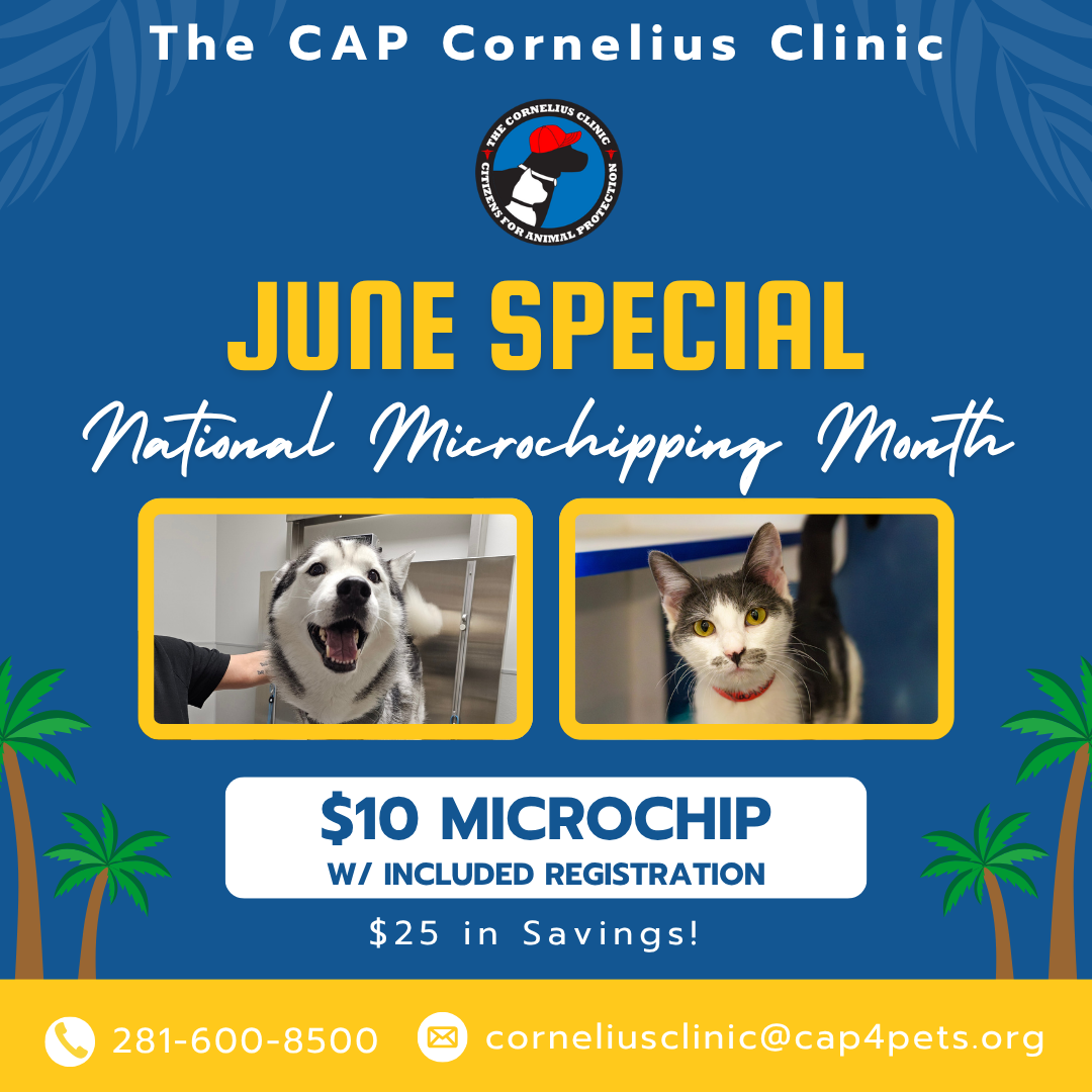 June 20206 Clinic Special 1