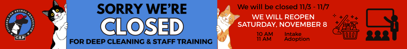 Closed 11-3 thru 11-7