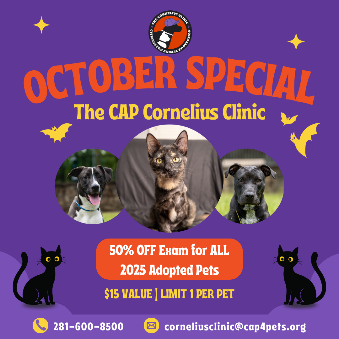October Special 1