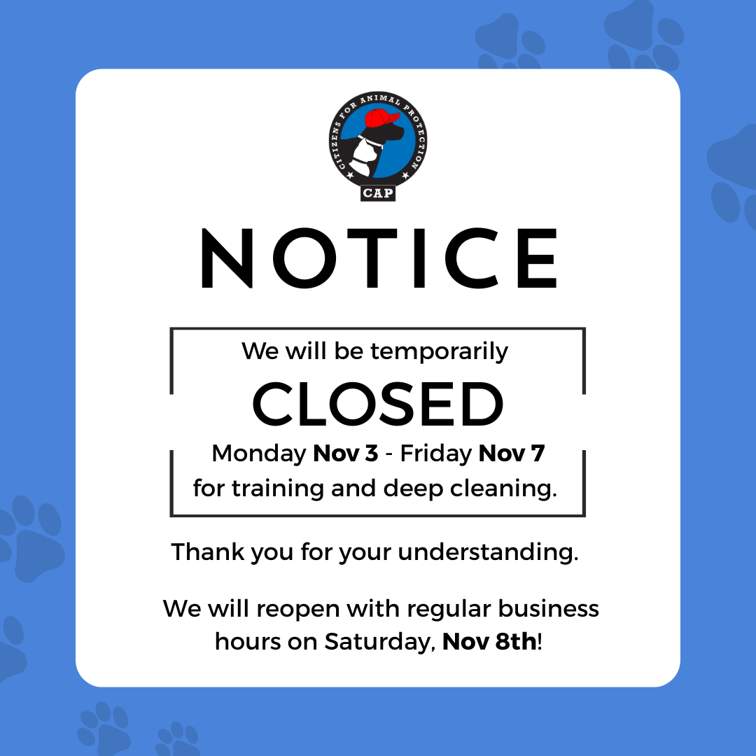 Temp Closed for trainingcleaning Instagram Post 1