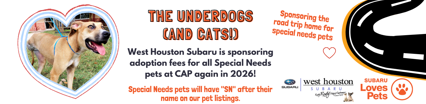 Underdogs Subaru 24 long 1